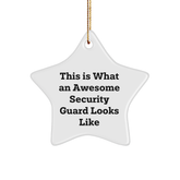 Gifts from Friends to Security Guards This Is What An Awesome Star Ornament Looks Like for Christmas - Image 1